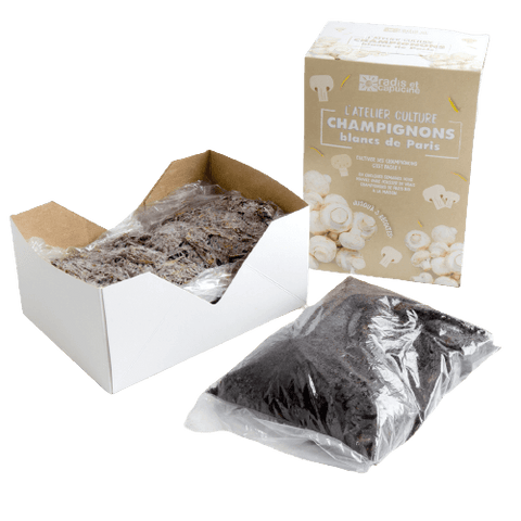 SET - Uzgoj gljiva, bijelih šampinjona Paris, 1 kg