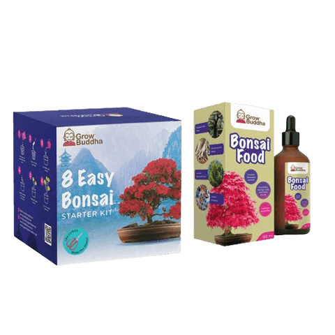 SET - Bonsai Easy & Gnojivo za bonsaije s probioticama