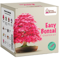 SET - Bonsai, uzgoj 4 vrste biljaka + 2 besplatne sjemenke