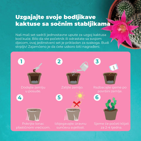 SET - Kaktus, uzgoj 15 vrsta raznih kaktusa